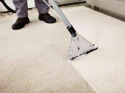 carpet cleaning process 6